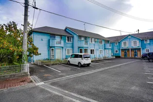 ティファニーBの画像