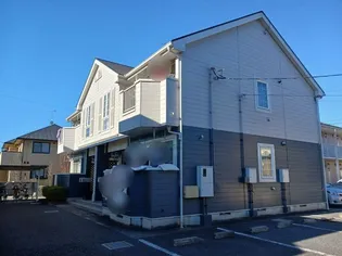 プリムローズの画像