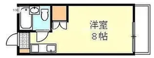 ドルフ3【4階】の間取り