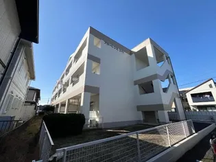 フローレンスシバの画像