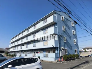 ハイツ須賀【4階】の外観