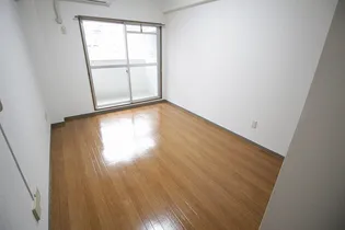 レディスコスモ【2階】の居間