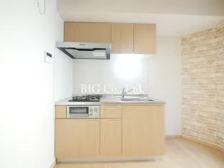 グリーンウェイヤクモ【1階】のキッチン