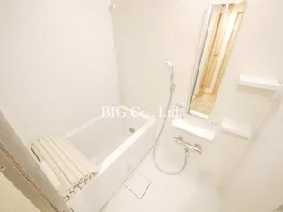 グリーンウェイヤクモ【1階】の風呂