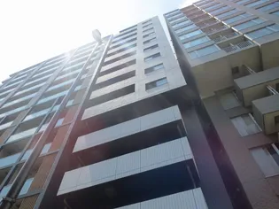 セジョリ上野の画像