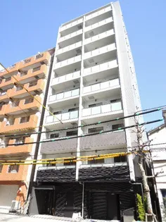 コルバスの画像