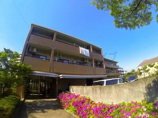 エクセル山本の画像