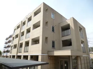 コモド プレッソの画像