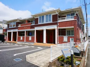 プラシードSの画像