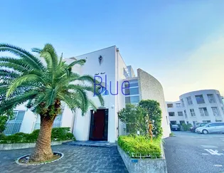 シェルコートの画像