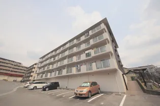 タラ生駒Ⅰの画像