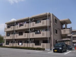 Y&Mマンションドリームの画像