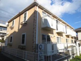 パセオプラシード上杉【1階】の外観