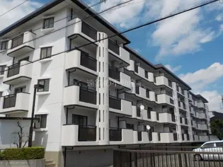 マイシャトー国府台Dの画像