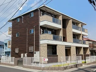 ステラマリスの画像