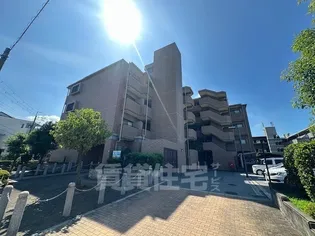 グランシェールSの画像