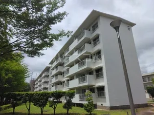夏見台団地1号棟の画像