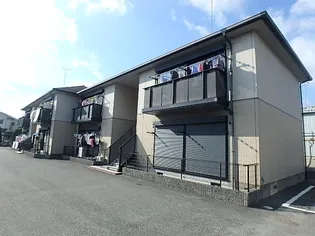 ディアスヒラツの画像