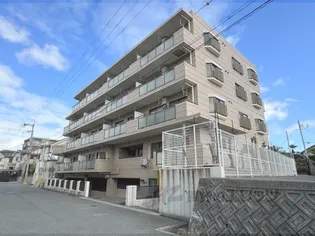 DKHマキノの画像