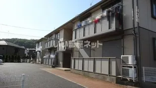 ステラAの画像
