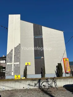 RAYS HISHINUMAの画像