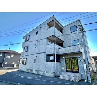 WERDEN WILLMOAの画像