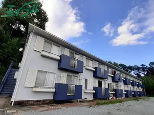 コリーヌ伊勢の画像