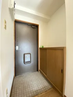 大通りハイツ【9階】の玄関