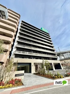 スプランディッドVIIIの画像