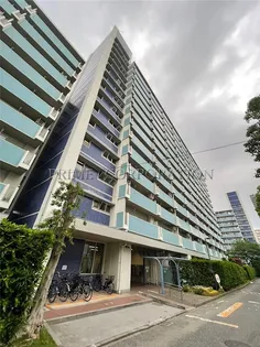 越中島三丁目ハイツ1号棟の画像