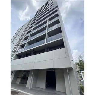 SYFORME OJIIIの画像