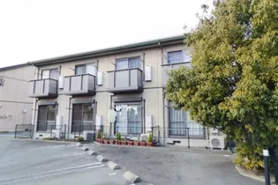 プリムローズBの画像