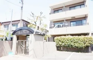 パーシモンの画像