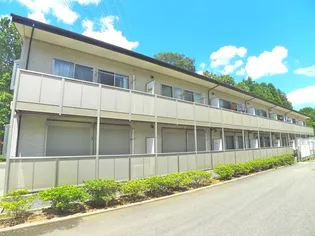 アムール 翼の画像