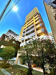 ミラダリッジの画像