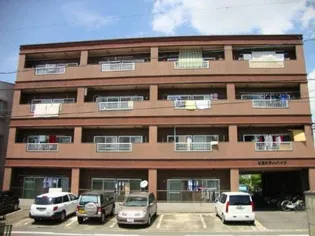 加藤シティハイツの画像