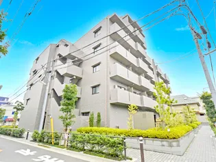 ルーブル板橋泉町壱番館【5階】の外観