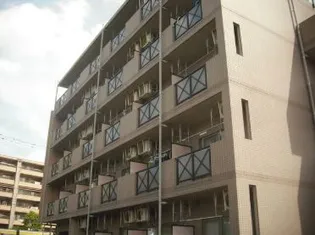 ルピナスの画像