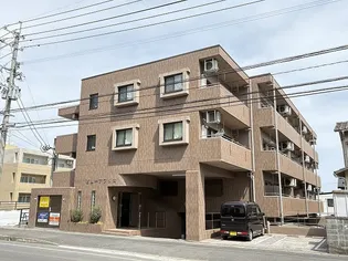 ビューアフリカの画像