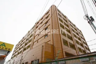 BELLEVIE OUMIの画像