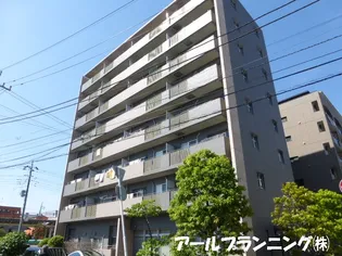 パインエクセレントの画像