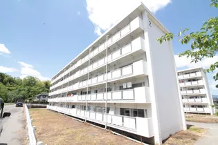 ビレッジハウス鴨島2号棟【2階】の外観