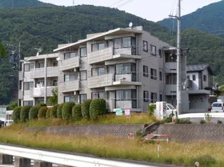 新田ツインズの画像