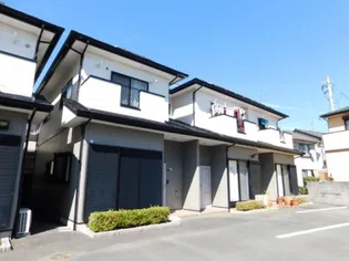 メイプルトゥリーの画像