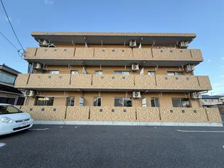 M ポラールの画像