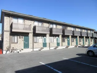 カンフォーラの画像