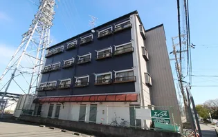 グレース田中の画像