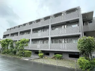 スカイコート新宿落合第6の画像