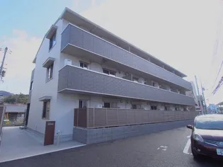 ベリッシモの画像