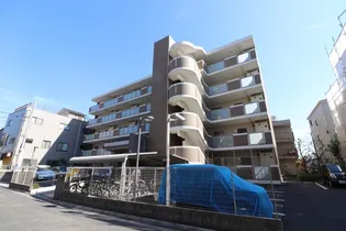 フローレス ハナミズキの画像